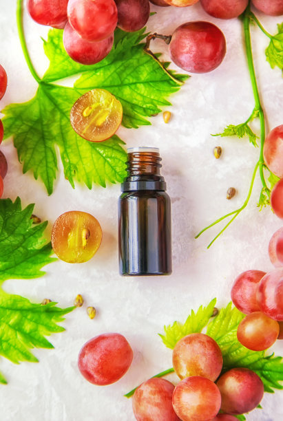 葡萄籽油装在瓶子里。有选择性的重点。图片下载