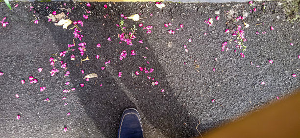 地上有脚的影子图片下载