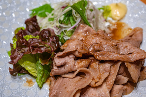 姜炒猪肉套餐日本菜图片下载