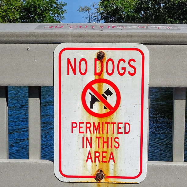 狗不得入内图片下载