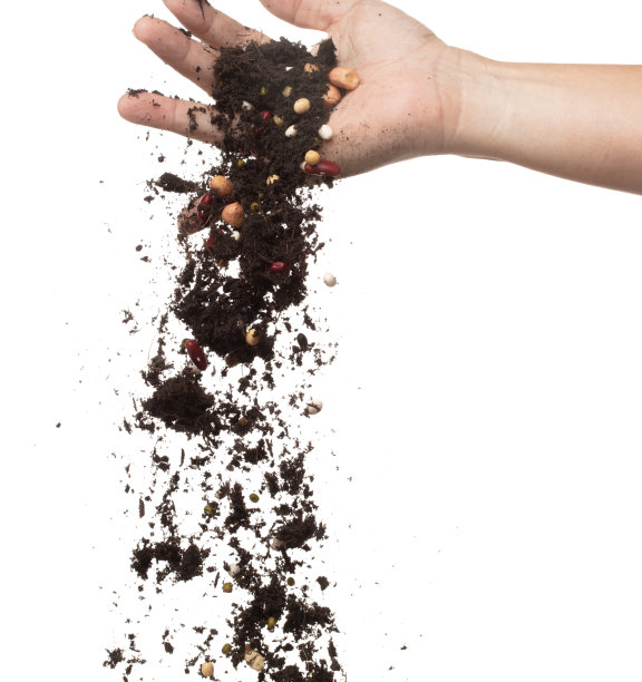 土壤污垢多种豆混从园手掉落。杂豆土壤肥料抽象云飞。土壤混合多粒豆种植溅停在空气中。白色背景隔离高速冻结图片下载