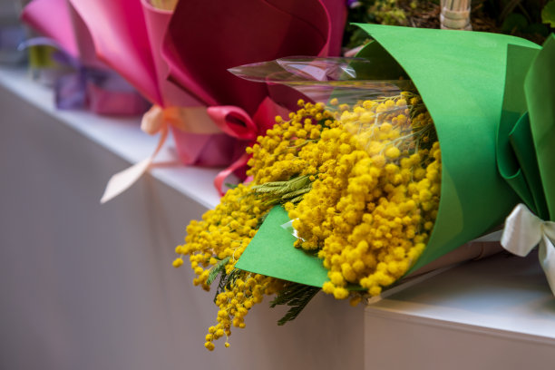 带黄色含羞草花的花束图片下载