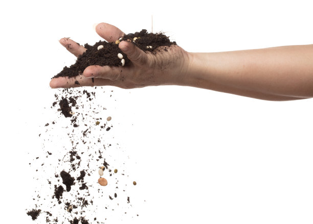 土壤污垢多种豆混从园手掉落。杂豆土壤肥料抽象云飞。土壤混合多粒豆种植溅停在空气中。白色背景隔离高速冻结图片下载