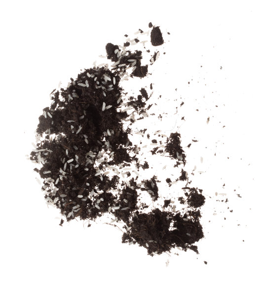 土脏白米拌飞爆。水稻土壤肥料抽象云飞。土壤混合茉莉水稻种植溅停在空气中。白色背景隔离高速冻结运动图片下载