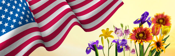 在风中飘扬的美国国旗和美丽的节日鲜花图片下载