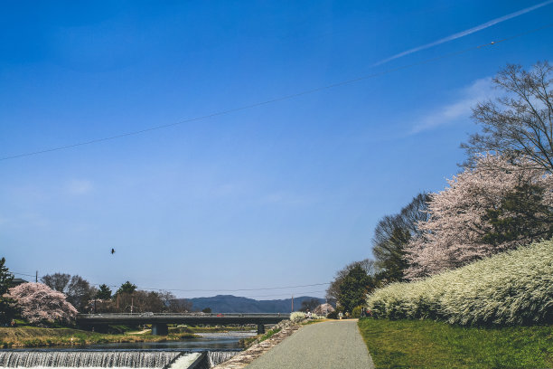 日本京都，2012年4月12日图片下载
