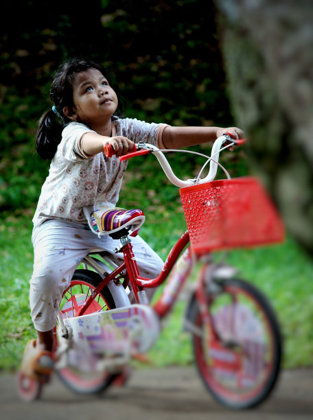 花园的照片图片下载