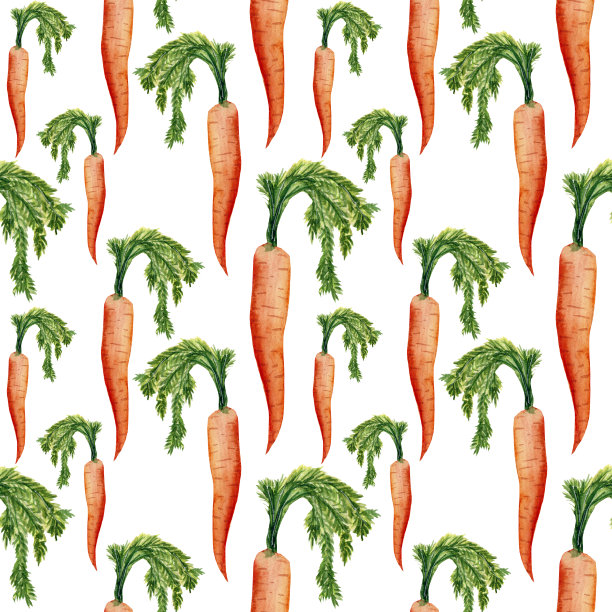 无缝水彩图案，蔬菜，植物。白色背景上的彩色胡萝卜图案。图片下载