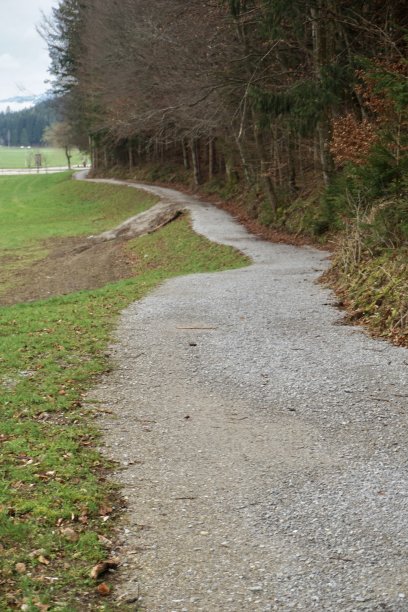 早春时节，莱茵塔勒湖周围的步道。一条无人行走的路。初春的奥地利。奥地利春天多云的天气。沿着奥地利的小路散步。图片下载