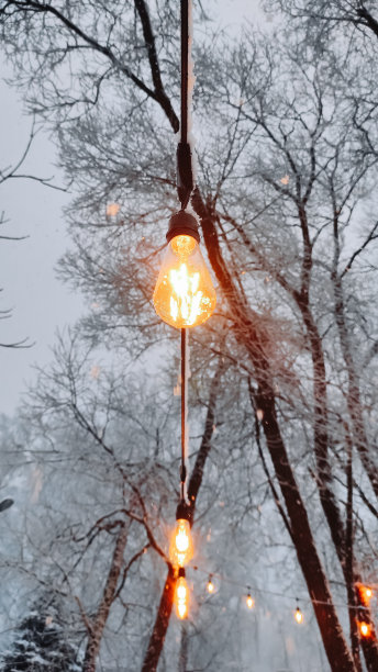 街道灯光与白雪覆盖的树木背景的垂直照片。高质量照片图片下载