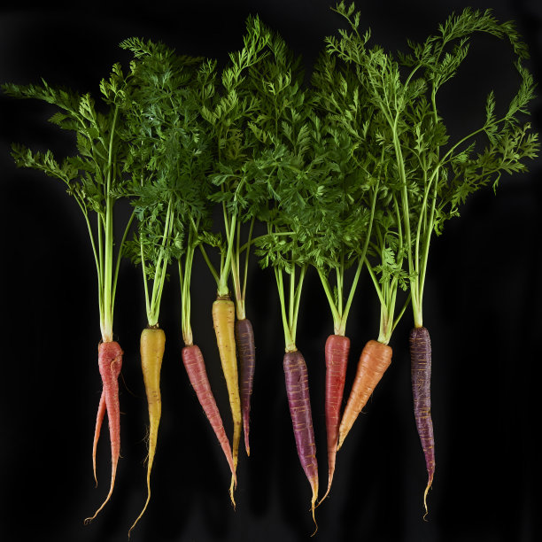 在有机蔬菜水果店用叶子给胡萝卜上色。股票的照片。图片下载