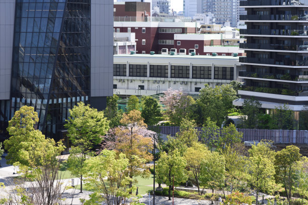 春天的办公园区图片下载