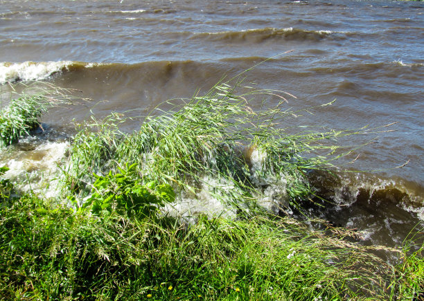 在有风的夏日，海边的波浪和绿草。图片下载
