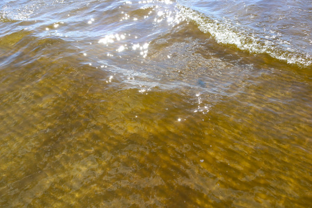 在透明的水中，沙子在底部荡起涟漪，阳光灿烂的日子，阳光灿烂。图片下载