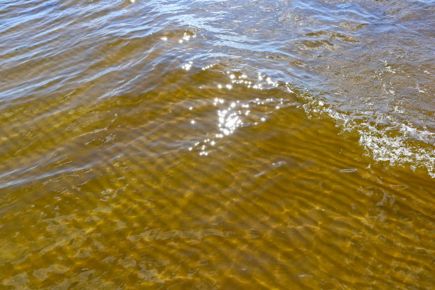 在透明的水中，沙子在底部荡起涟漪，阳光灿烂的日子，阳光灿烂。图片下载