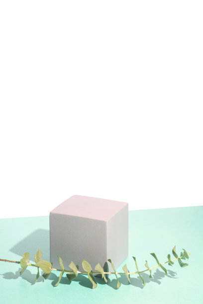 立方体讲台上的桉树树枝在蓝白色的背景。化妆品展示的模型。图片下载