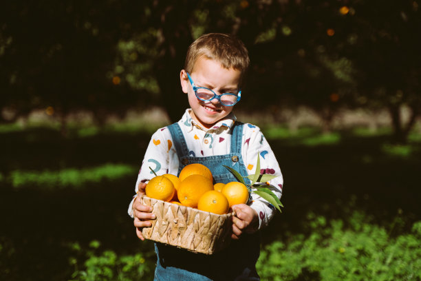 可爱的小农民男孩的肖像抱着柳条篮子充满新鲜的有机橙子。快乐的孩子，戴着眼镜的孩子，在绿色的橙色花园收获蔬菜水果，背景是树木图片下载