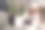 寒假和狗在公园散步图片下载