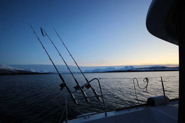 北极圈的一天图片下载