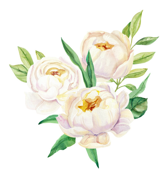 水彩白色婚礼牡丹花束图片下载