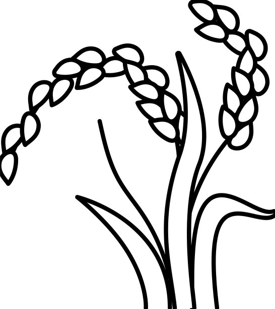 水稻植物食物线图标图片下载