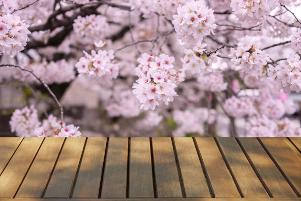 木桌，粉色花朵背景图片下载