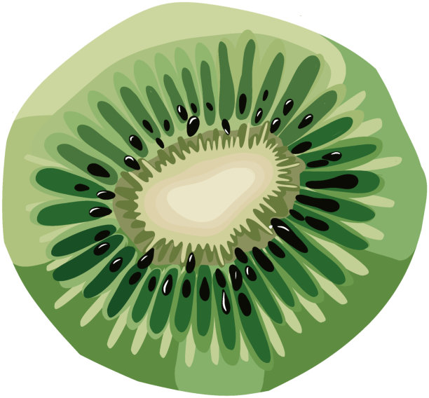 Киви图片下载