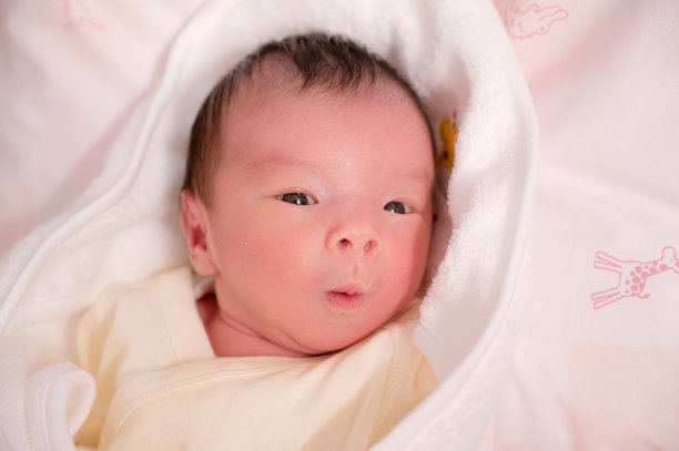 新出生的亚洲日本婴儿图片下载