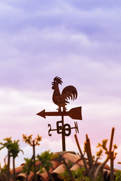 公鸡形状的风向标，日落背景。图片下载