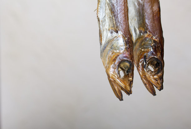 Putassu Cold抽烟。挂在绳子上。鱼用一条纸包着。用亚麻麻绳捆扎。特写镜头。图片下载