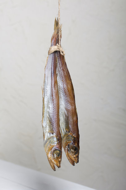Putassu Cold抽烟。挂在绳子上。鱼用一条纸包着。用亚麻麻绳捆扎。特写镜头。图片下载