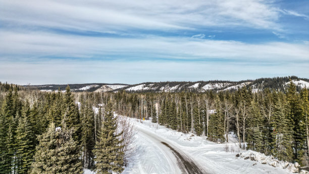 树木之上图片下载