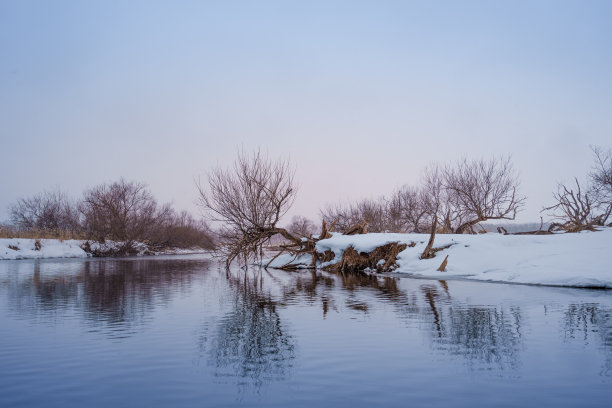 欣赏白雪覆盖的树木和原始的雪景。图片下载
