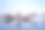 欣赏白雪覆盖的树木和原始的雪景。图片下载