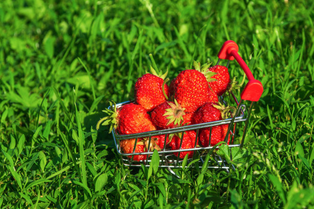 新鲜的草莓在手推车上的背景自然。快乐购物理念。夏天的背景图片下载