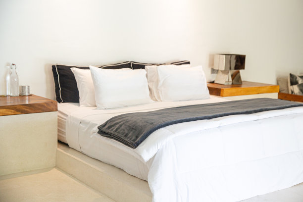 新公寓的时尚主卧室。图片下载