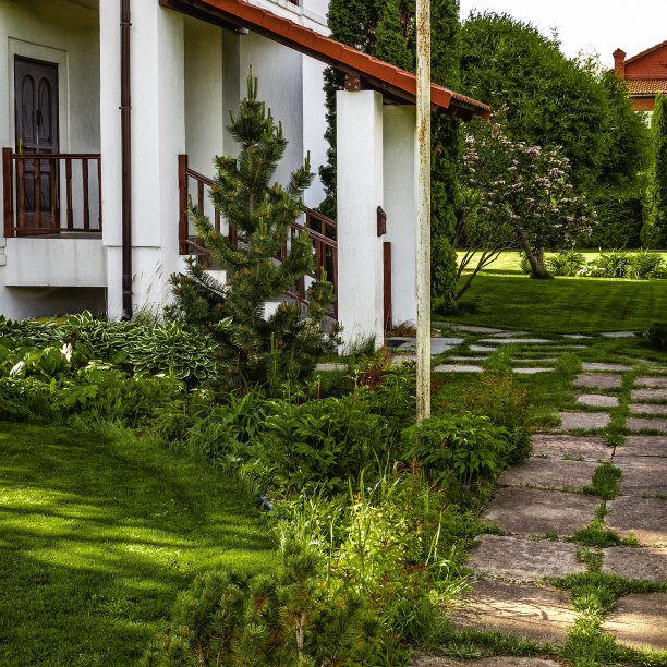 后院设计元素图片下载