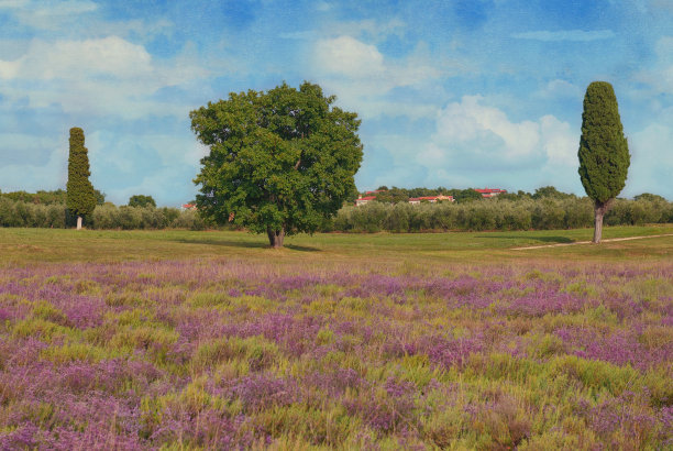 夏日风光尽收眼底，绿树下蓝天白云图片下载