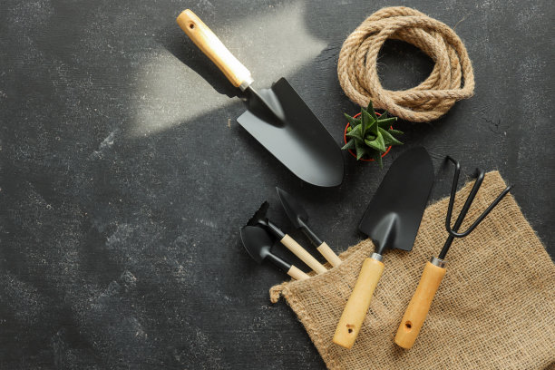 园艺工具在深色的木制背景与空间文本顶视图图片下载