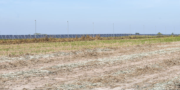 光伏电池农场或太阳能电池板领域的环保和清洁能源背景图片下载