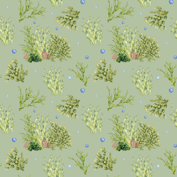 无缝模式的绿色海洋植物水彩插图孤立在灰色。海带，海沙拉，手绘的子叶。设计包装，标签，纸张，纺织品，包装，海洋收集图片下载