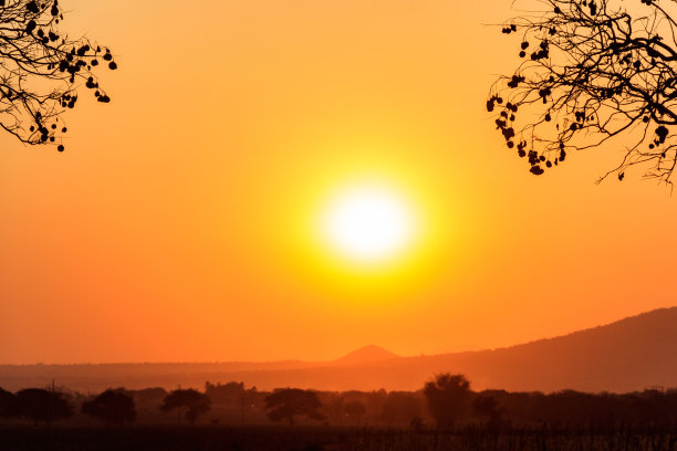 坦桑尼亚大草原上美丽的非洲日落图片下载