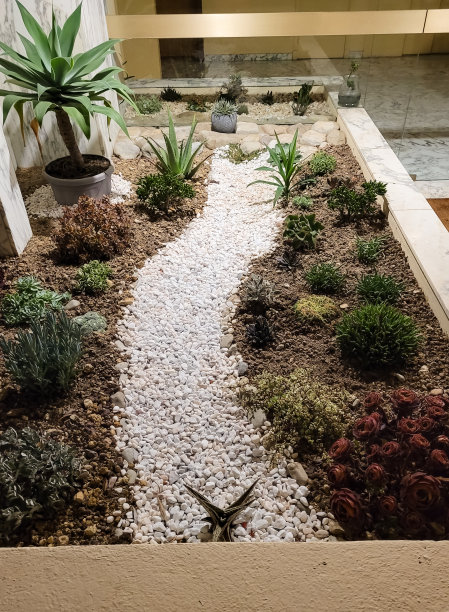 室内花园。巴黎,法国。图片下载