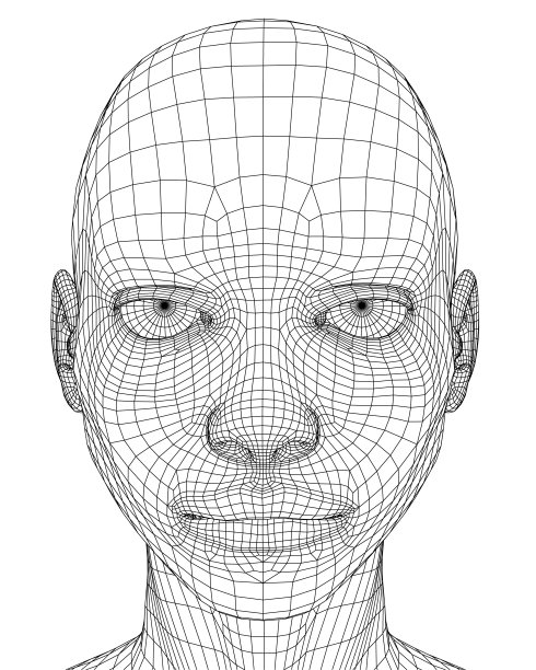 一个女孩的头部线框与不满的面部表情从黑色线孤立在白色背景。3 d。矢量插图。图片下载