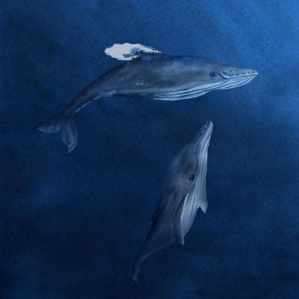 手绘水彩画座头鲸图片下载