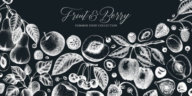 夏季水果和浆果旗帜图片下载