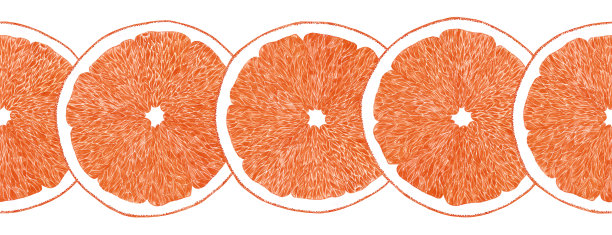 手绘水彩橙柠檬柚子与绿色叶子无缝边框在白色背景。剪贴簿，明信片，纺织品，织物。图片下载