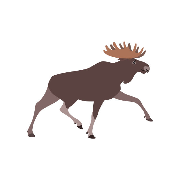 动物插图图片下载