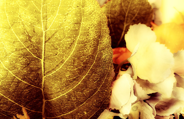 抽象的背景图片下载