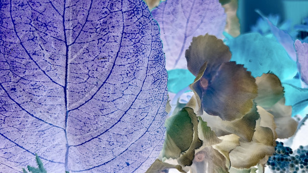 抽象的背景图片下载